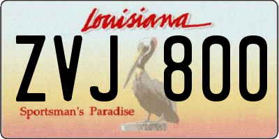 LA license plate ZVJ800