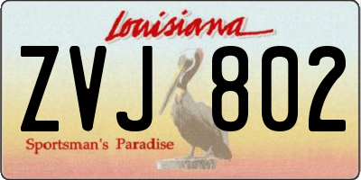 LA license plate ZVJ802