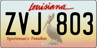 LA license plate ZVJ803