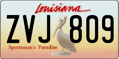 LA license plate ZVJ809