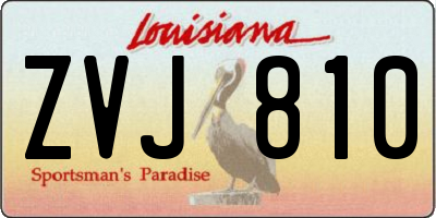 LA license plate ZVJ810