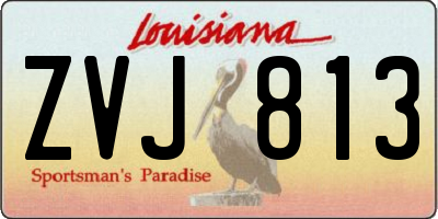 LA license plate ZVJ813