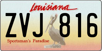LA license plate ZVJ816