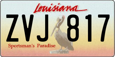 LA license plate ZVJ817