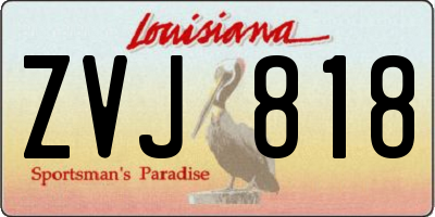 LA license plate ZVJ818