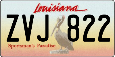 LA license plate ZVJ822