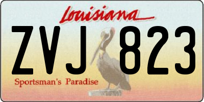 LA license plate ZVJ823