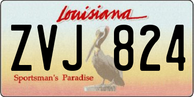 LA license plate ZVJ824