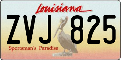 LA license plate ZVJ825