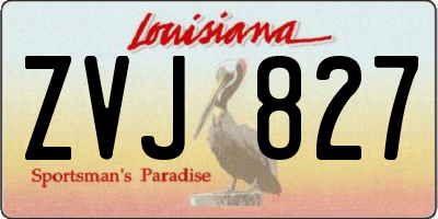 LA license plate ZVJ827