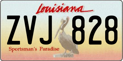 LA license plate ZVJ828