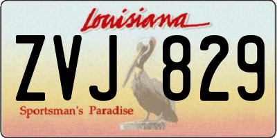 LA license plate ZVJ829