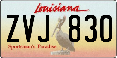LA license plate ZVJ830