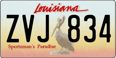 LA license plate ZVJ834
