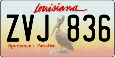 LA license plate ZVJ836