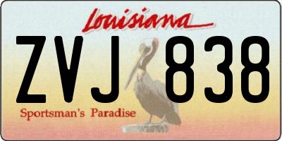LA license plate ZVJ838