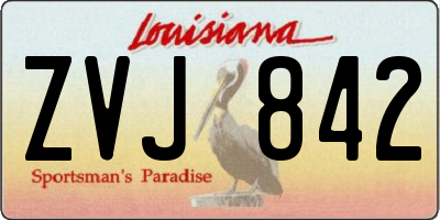 LA license plate ZVJ842