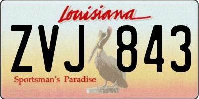 LA license plate ZVJ843