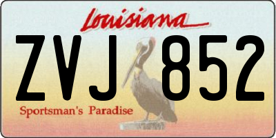 LA license plate ZVJ852