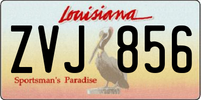 LA license plate ZVJ856