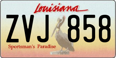 LA license plate ZVJ858
