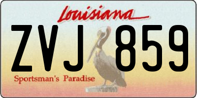 LA license plate ZVJ859