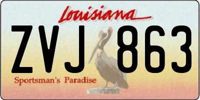 LA license plate ZVJ863