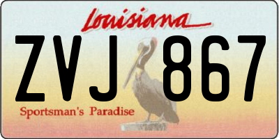 LA license plate ZVJ867
