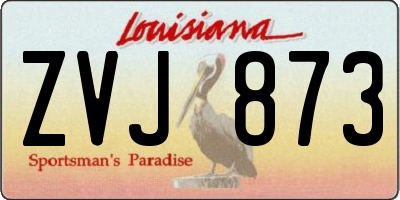 LA license plate ZVJ873