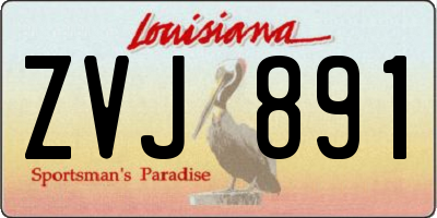 LA license plate ZVJ891