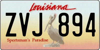 LA license plate ZVJ894