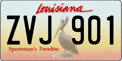 LA license plate ZVJ901