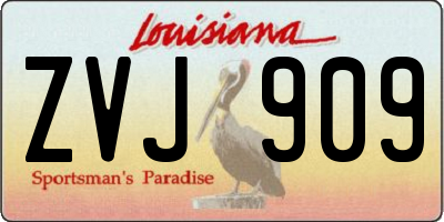 LA license plate ZVJ909