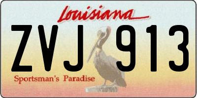 LA license plate ZVJ913