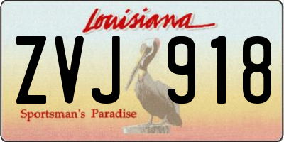 LA license plate ZVJ918