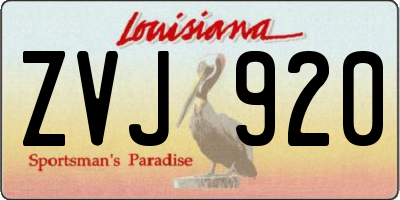 LA license plate ZVJ920