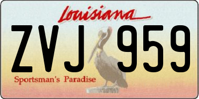 LA license plate ZVJ959