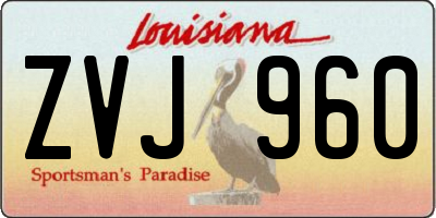 LA license plate ZVJ960