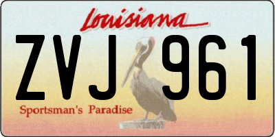 LA license plate ZVJ961
