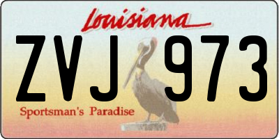 LA license plate ZVJ973