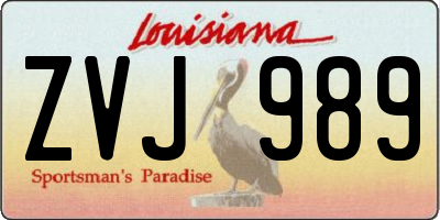 LA license plate ZVJ989