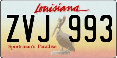 LA license plate ZVJ993