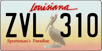 LA license plate ZVL310