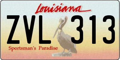 LA license plate ZVL313