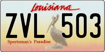 LA license plate ZVL503