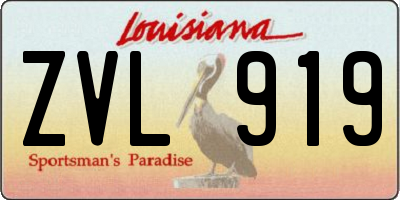 LA license plate ZVL919
