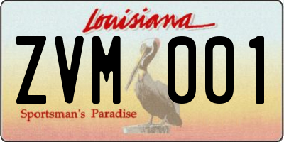 LA license plate ZVM001