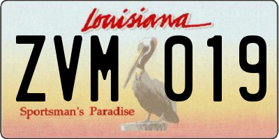LA license plate ZVM019