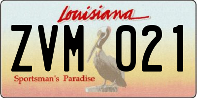 LA license plate ZVM021