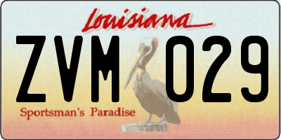 LA license plate ZVM029